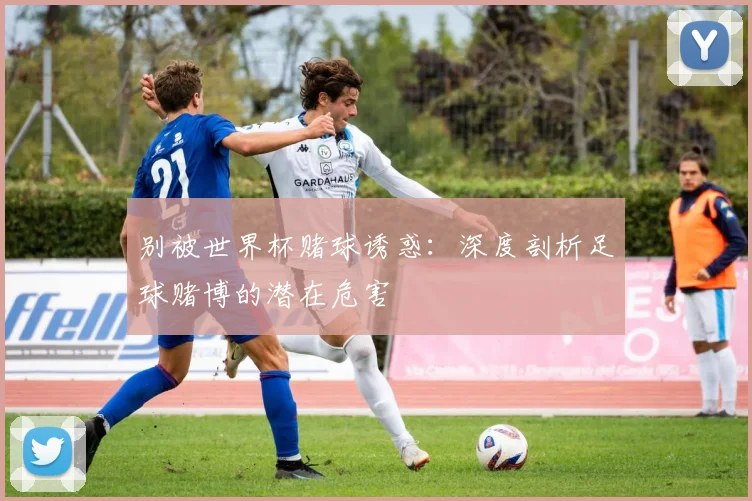 别被世界杯赌球诱惑：深度剖析足球赌博的潜在危害